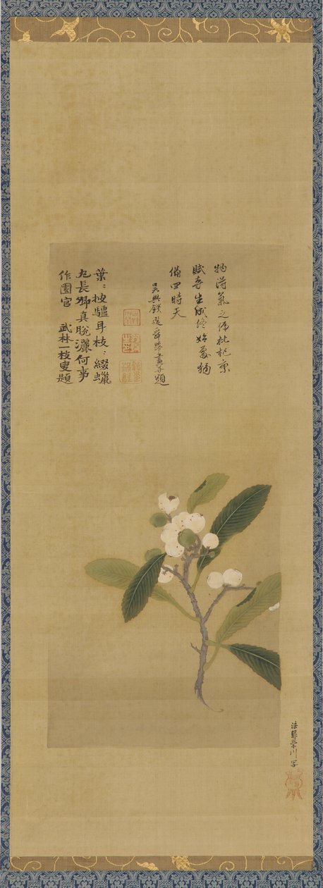 Odnož mišpulí, období Edo, 18. století. od Kanô Eisen