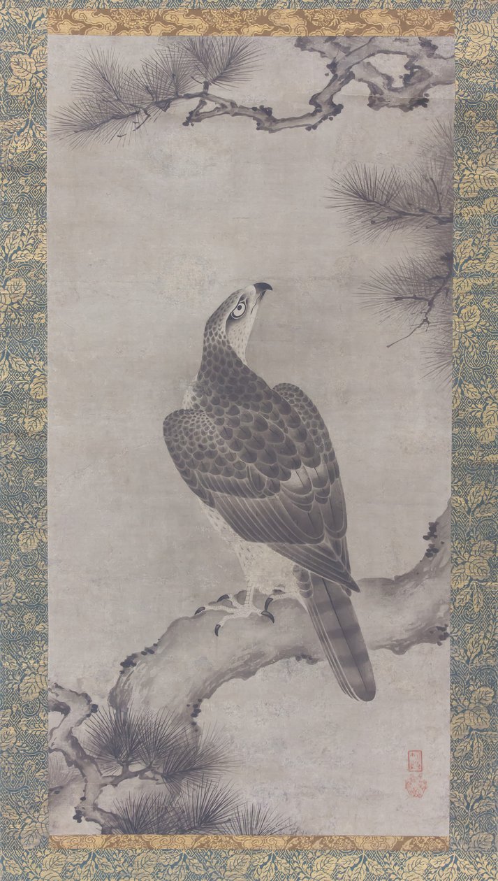 Hawk on a Pine Shoo zu, 16. století. od Kano Yukinobu