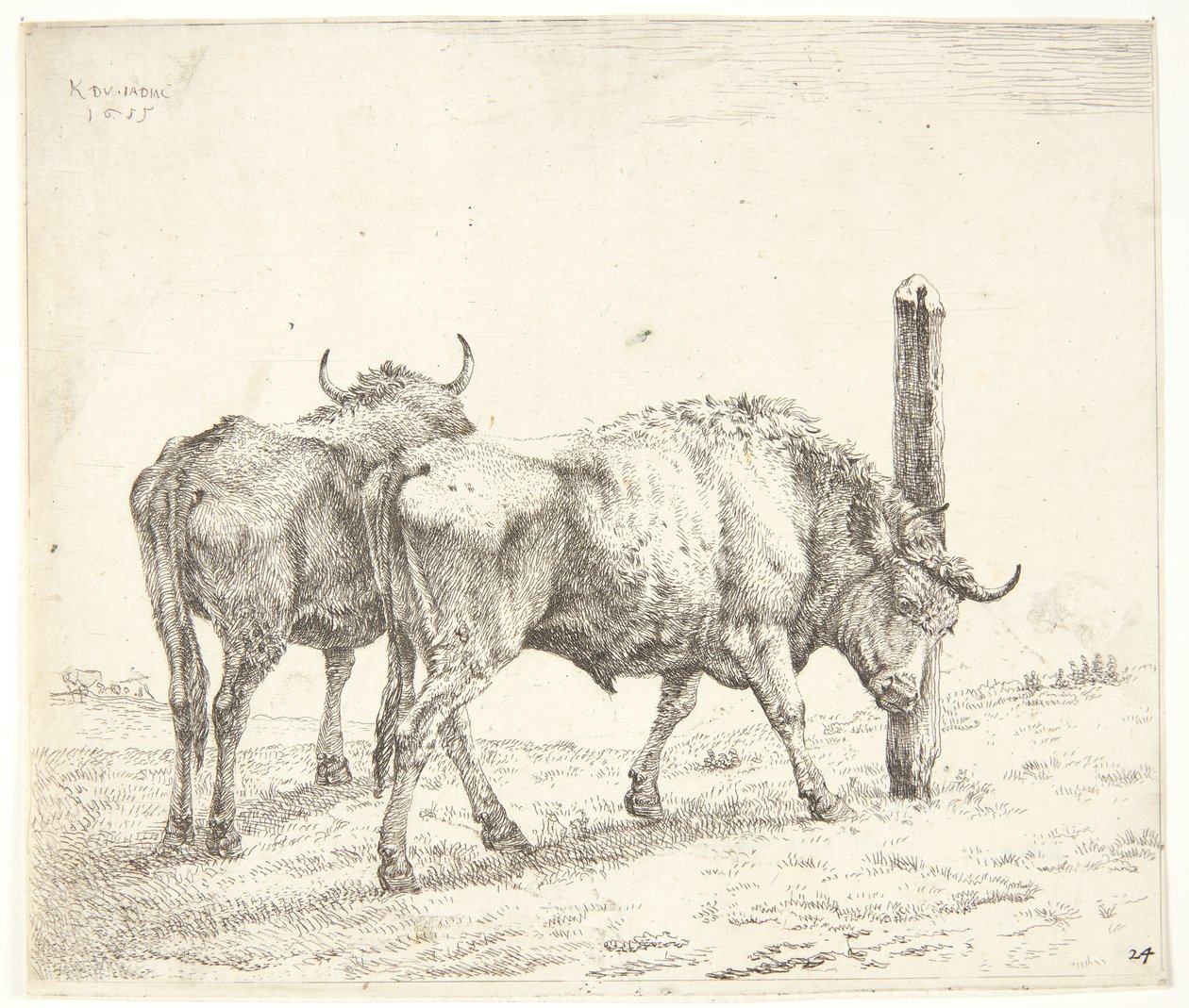 Dva voli od Karel Du Jardin