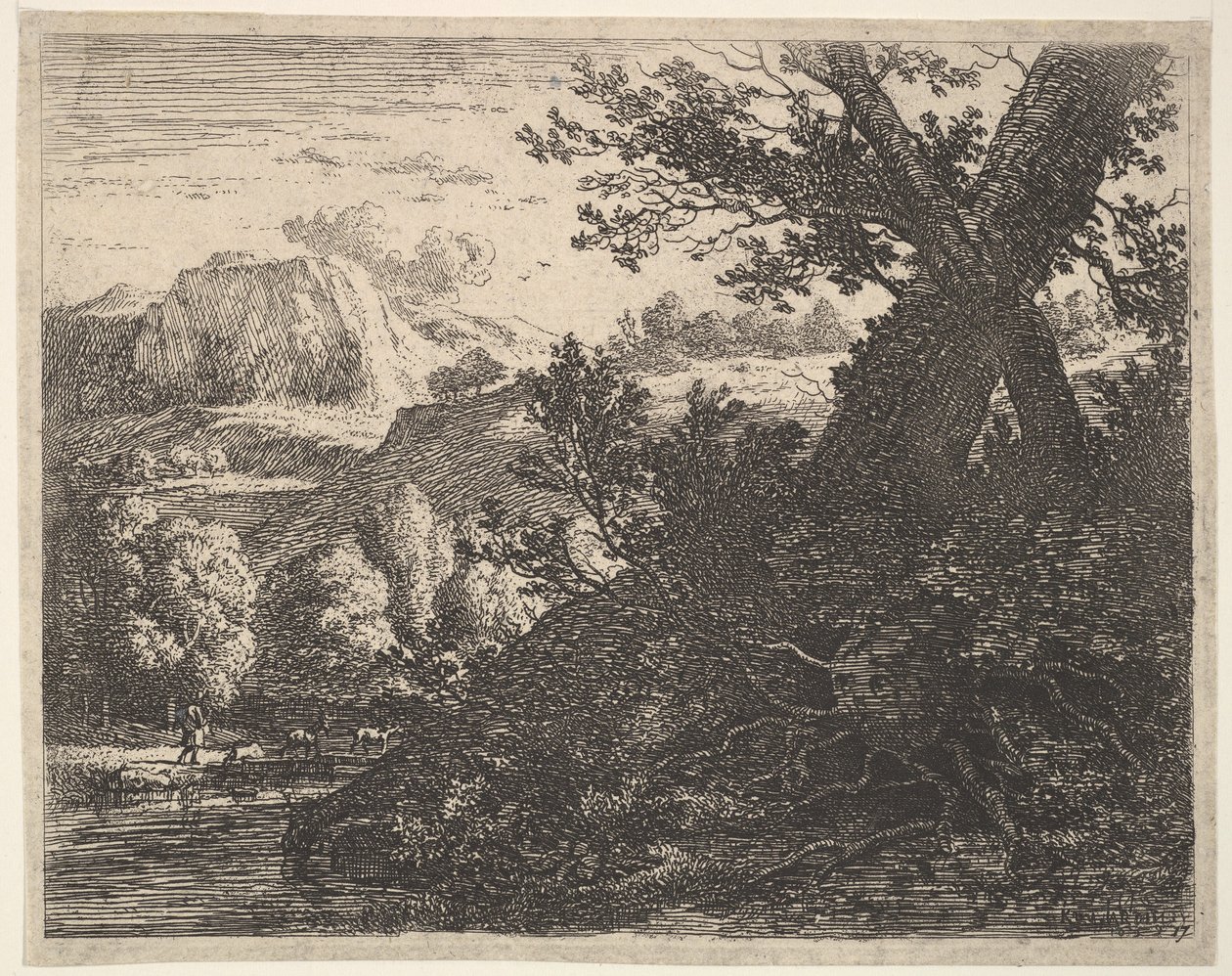 Strom s obnaženými kořeny podél potoka, kopcovitá krajina a muž jdoucí za q..., 1659. od Karel Du Jardin