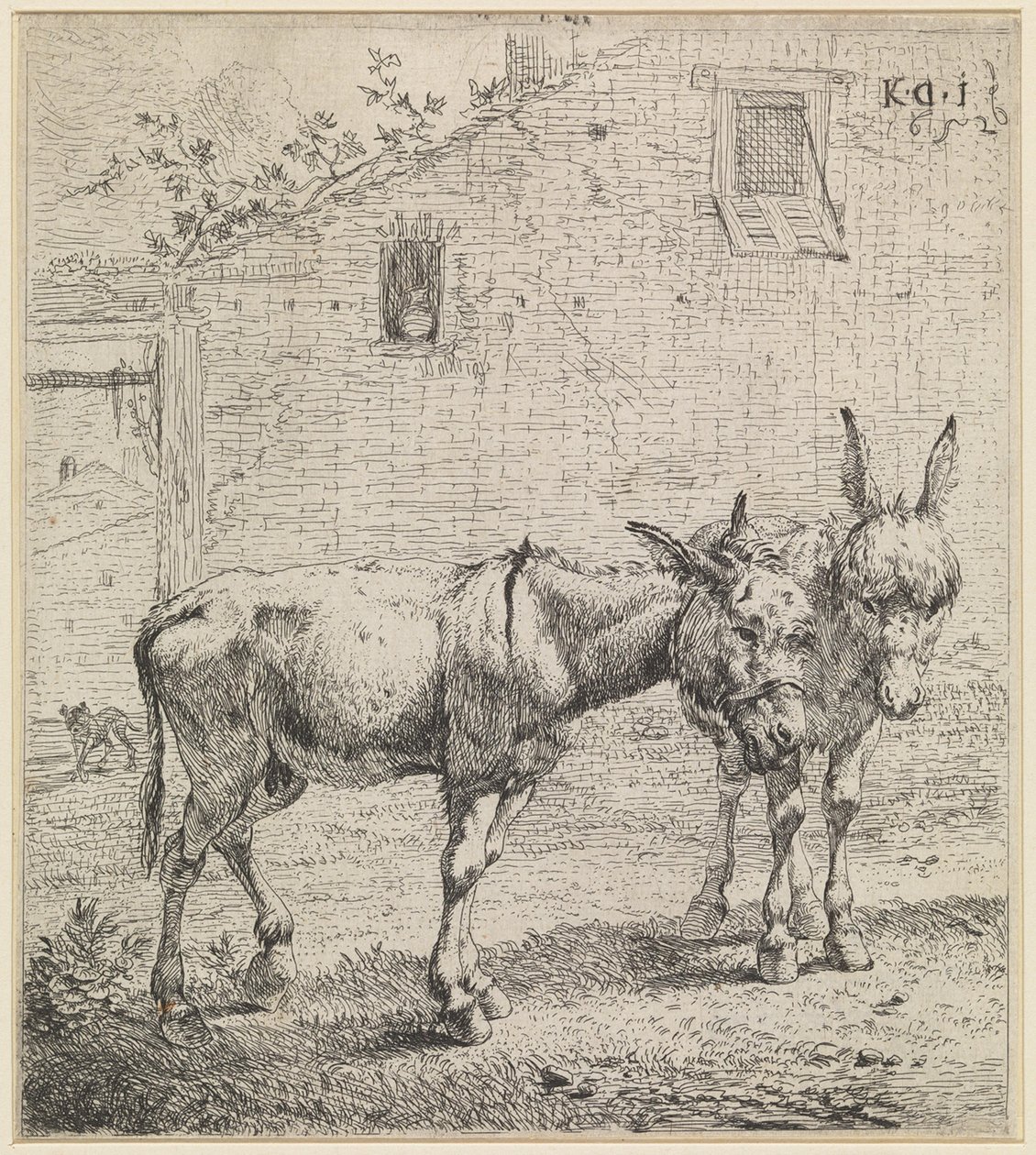 Dva osli od Karel Dujardin