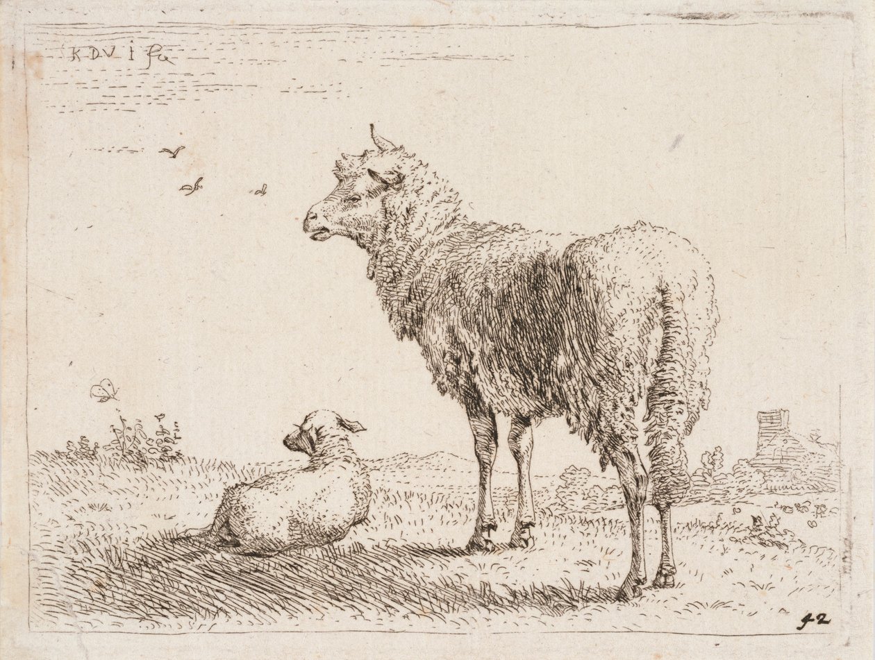 Ovce s jehnětem od Karel Dujardin