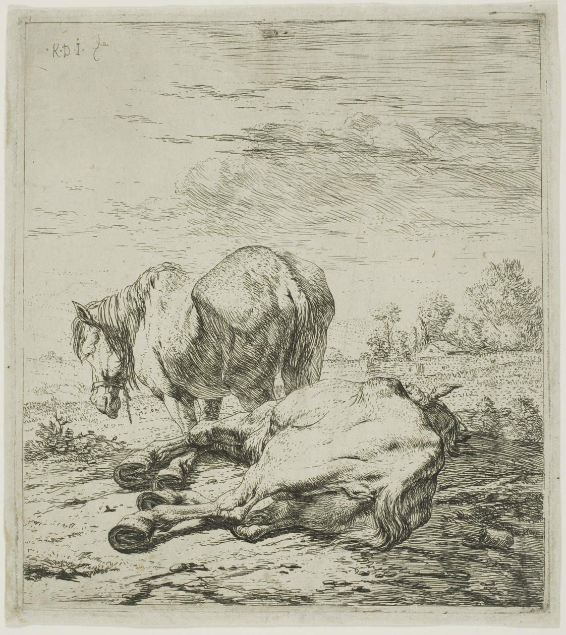 Dva koně od Karel Dujardin