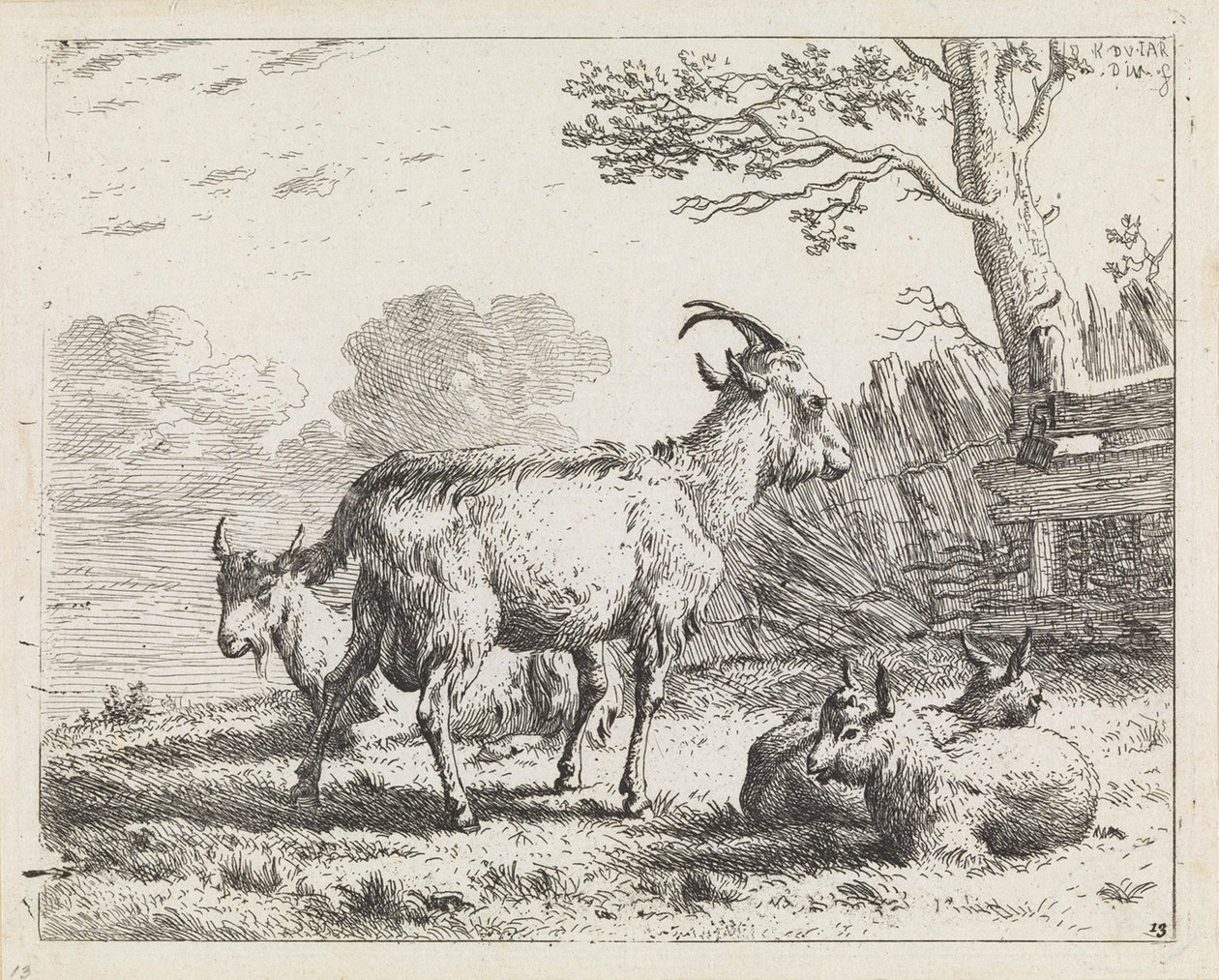 Čtyři kozy od Karel Dujardin