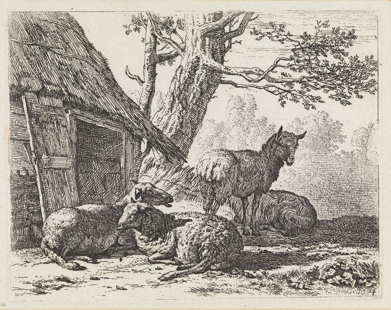 Čtyři ovce od Karel Dujardin