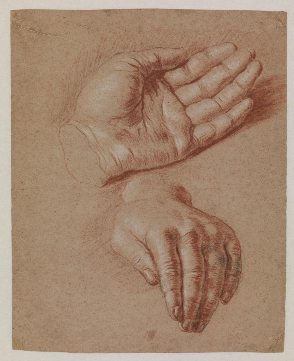 Studie dvou rukou. od Karel van III Mander
