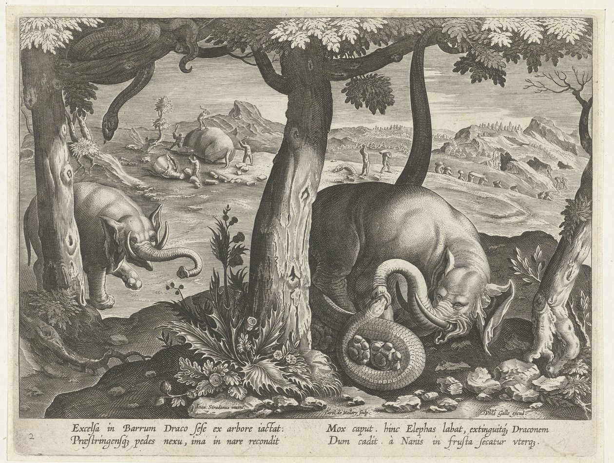 Olifant se v boji setkal se slangem Jachttaferelen (název série) Lov divoké zvěře, drůbeže a ryb v Bestiáři (název série) od Karel van Mallery (attributed to)