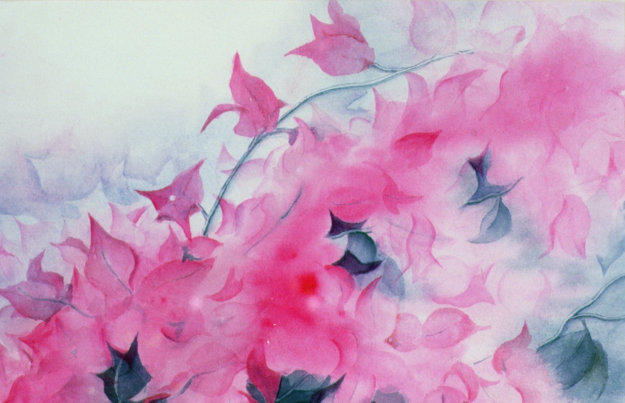 Bougainvillia od Karen Armitage