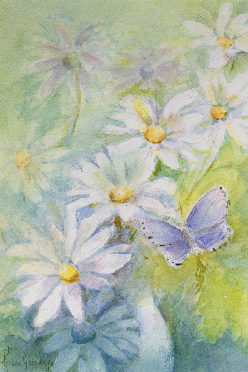 Modrá (Polyommatus Icarus) na sedmikrásky od Karen Armitage