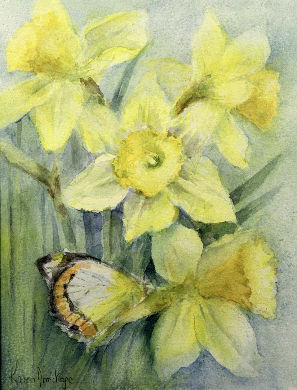 Delias Mysis (Union Jack) Motýl na narcisech od Karen Armitage