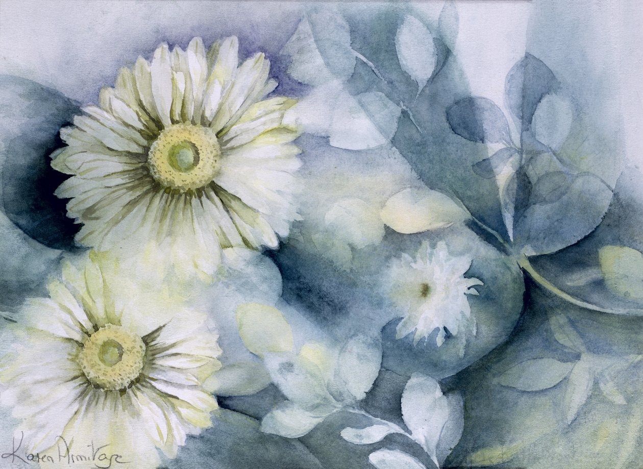 Gerbera Jamemura Dobrá od Karen Armitage