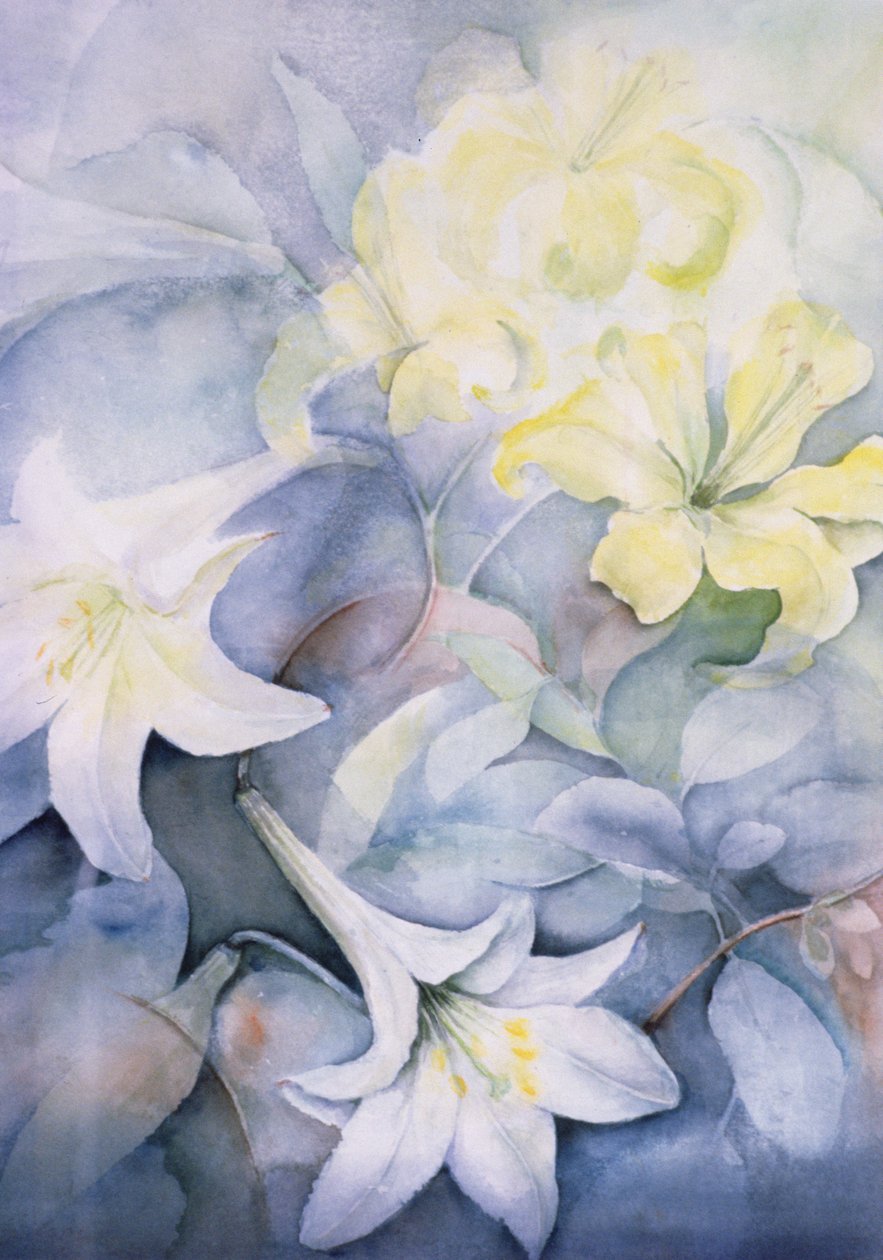 Lilium, Hearts Desire a Imperiale od Karen Armitage