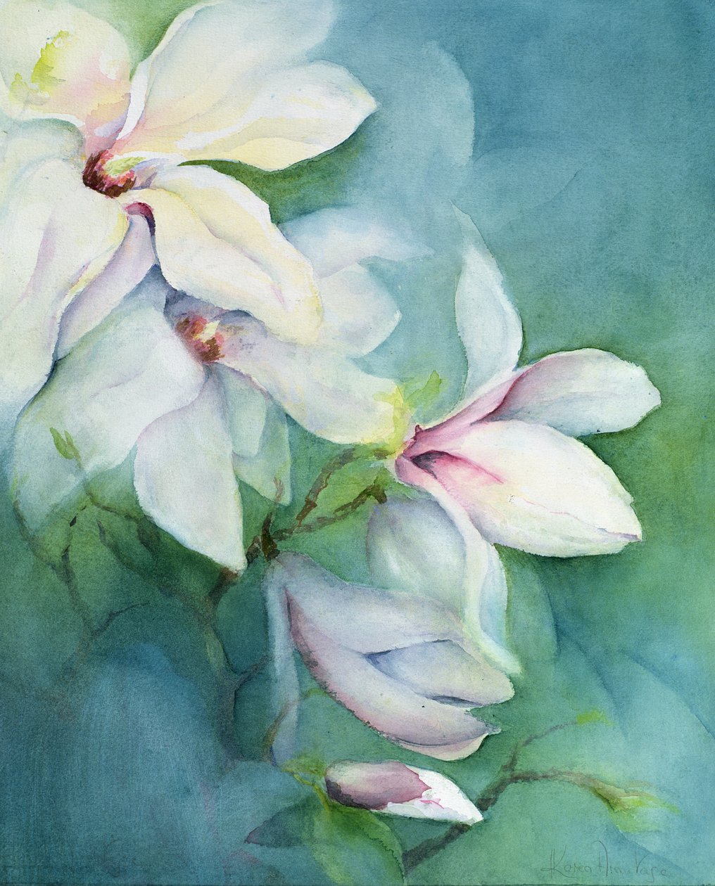 Magnolia Dedudata od Karen Armitage