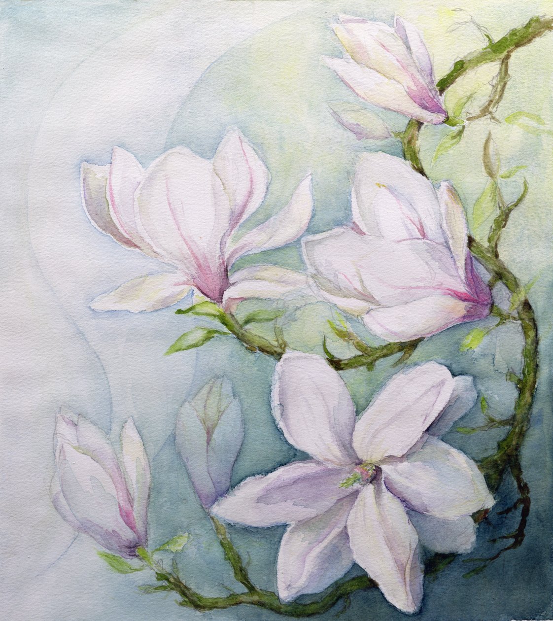 Magnolie (wc) od Karen Armitage