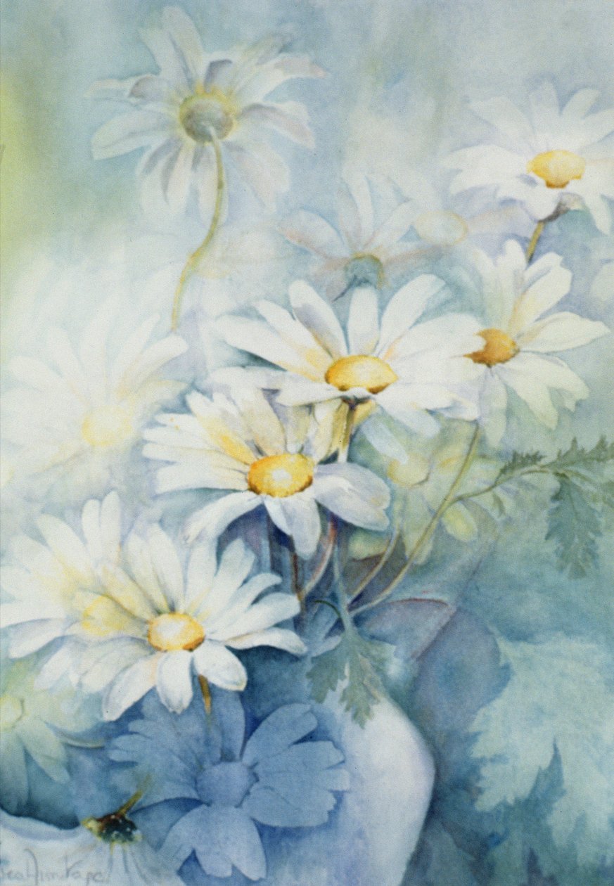 Marguerites, Alexandrie od Karen Armitage