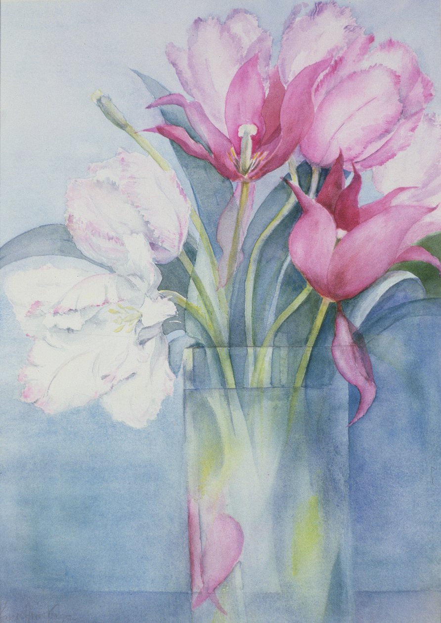 Růžový papoušek tulipány a Marlette od Karen Armitage