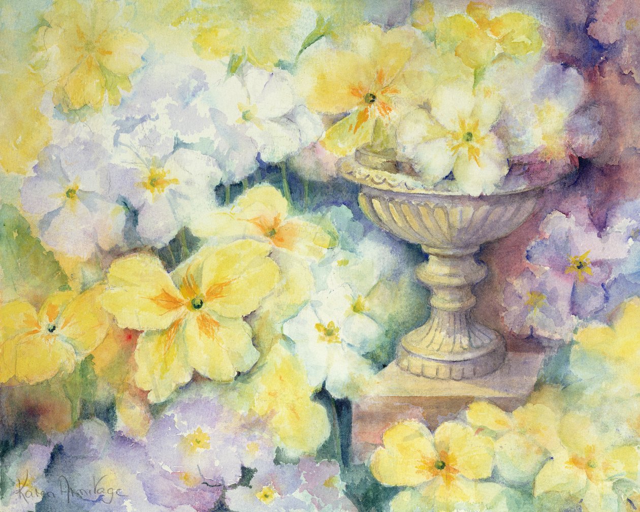 Polyanthus v Hurstu od Karen Armitage