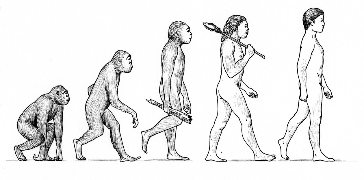 Evoluce člověka od Karen Humpage