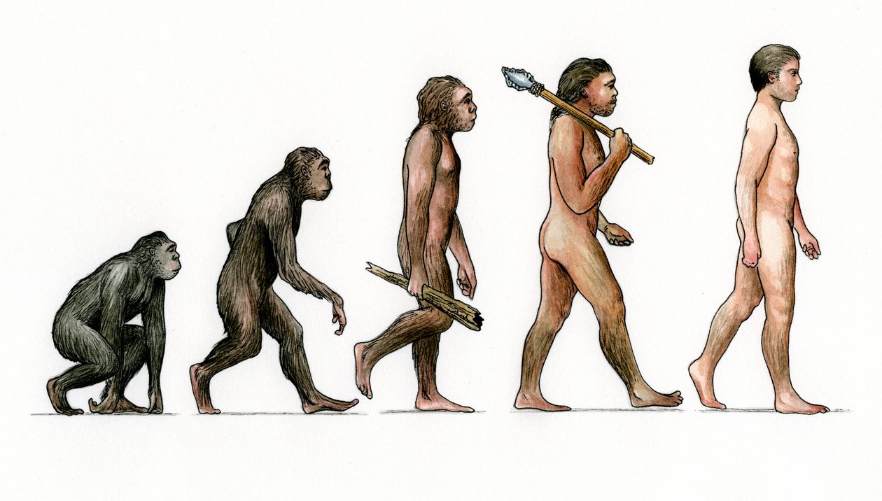 Evoluce člověka od Karen Humpage