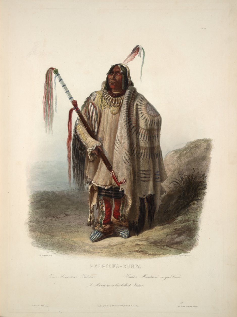 Minatarre nebo indián s velkým břichem od Karl Bodmer