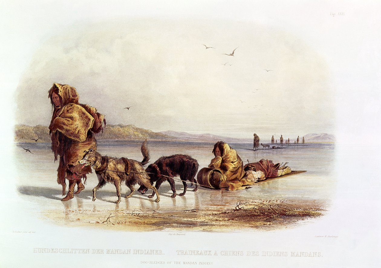 Psí sáně indiánů Mandan od Karl Bodmer