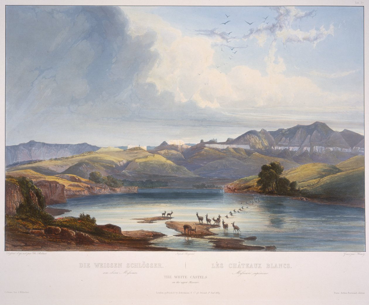 Bílé hrady na horní Missouri od Karl Bodmer