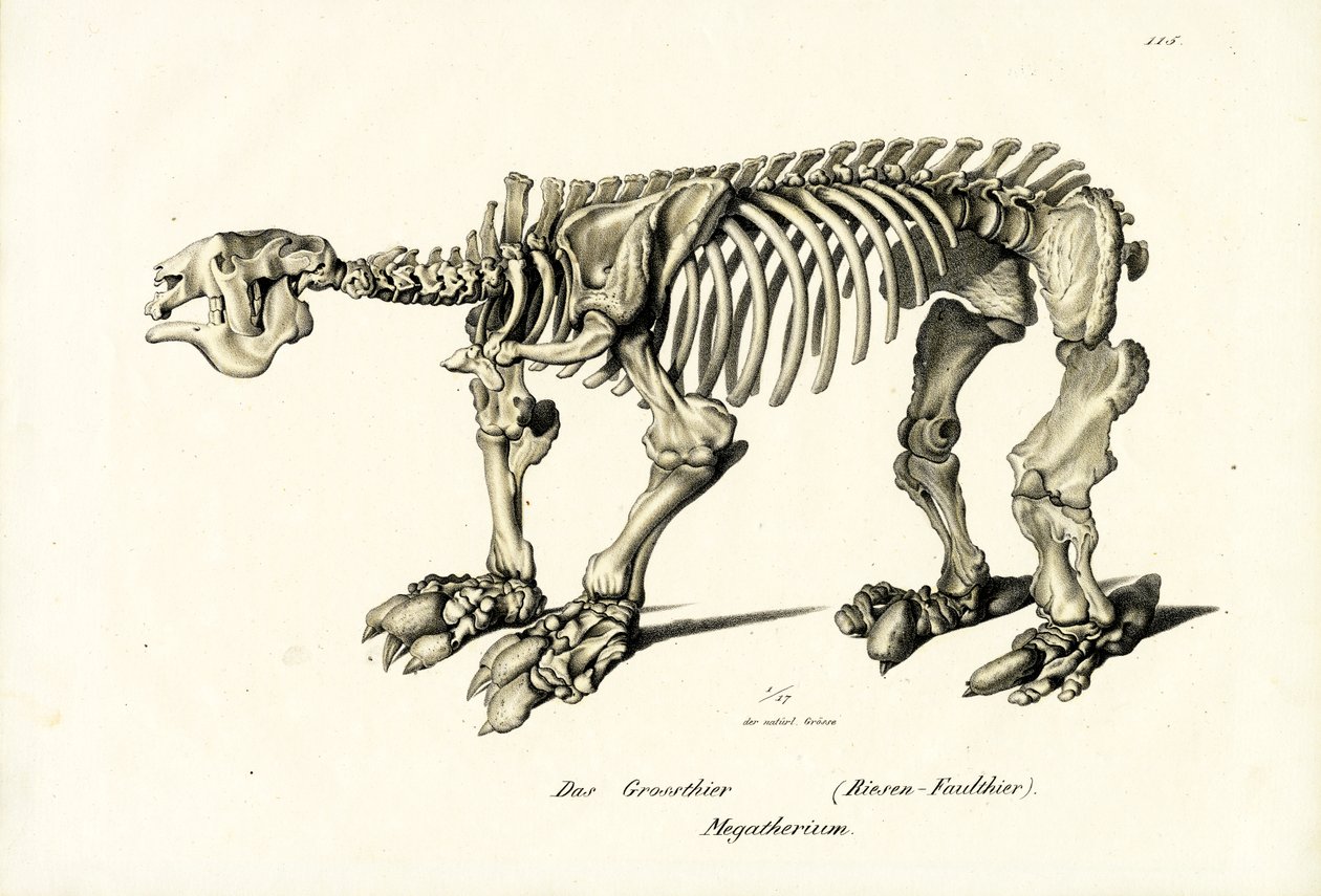 Giant Ground Lenh, 1824 od Karl Joseph Brodtmann