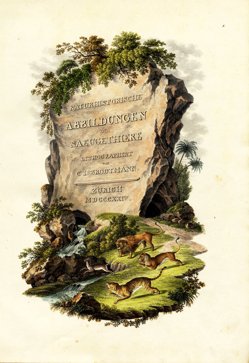Titulní strana, 1824 od Karl Joseph Brodtmann