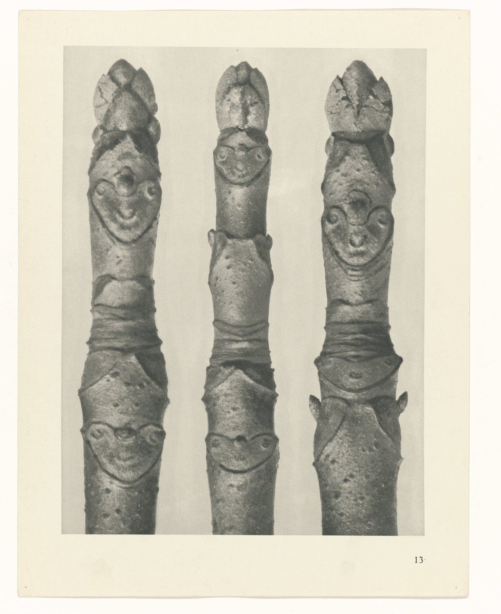 plánovat studii Archetypy umění (název série) od Karl Blossfeldt