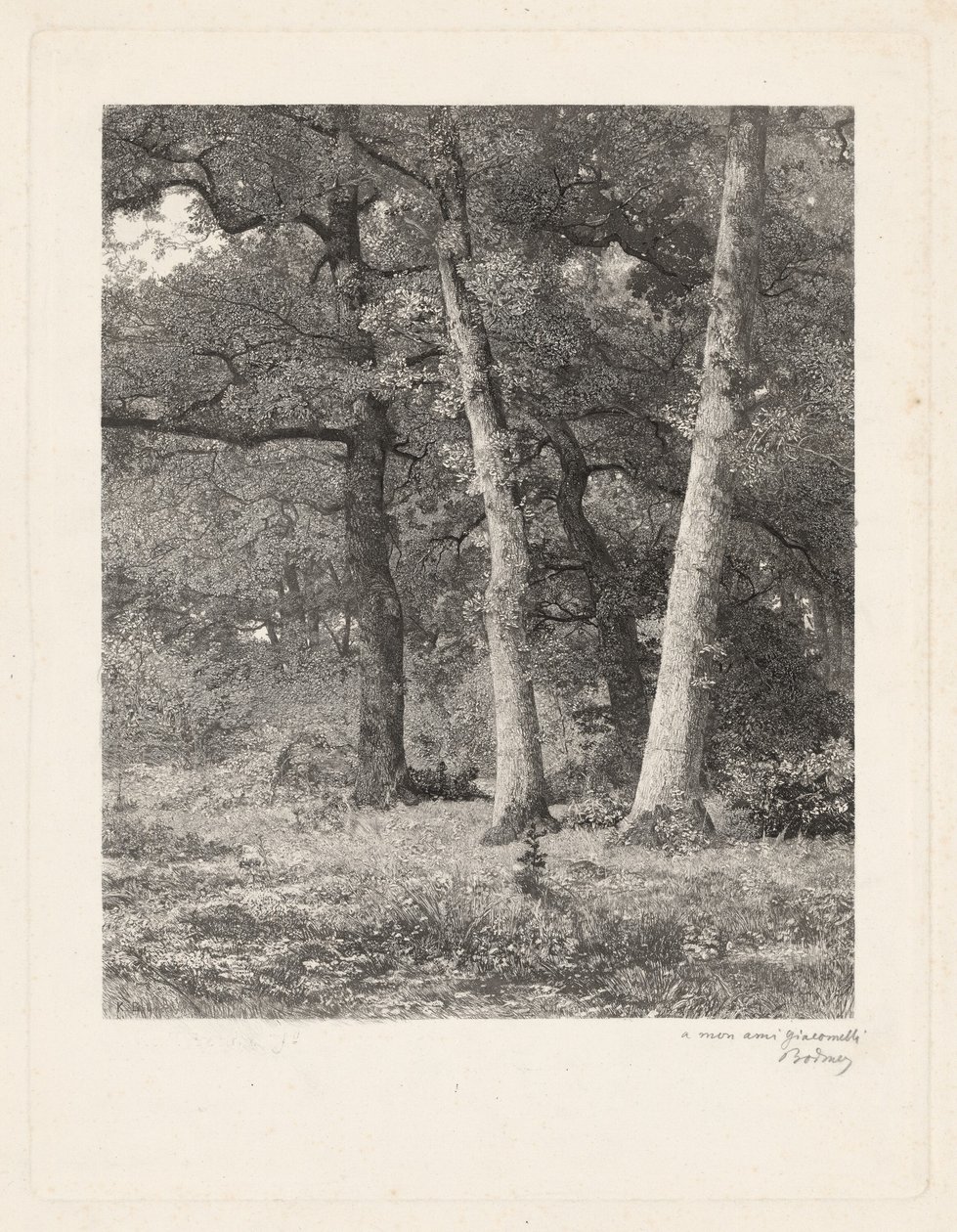 Lesní mýtina od Karl Bodmer