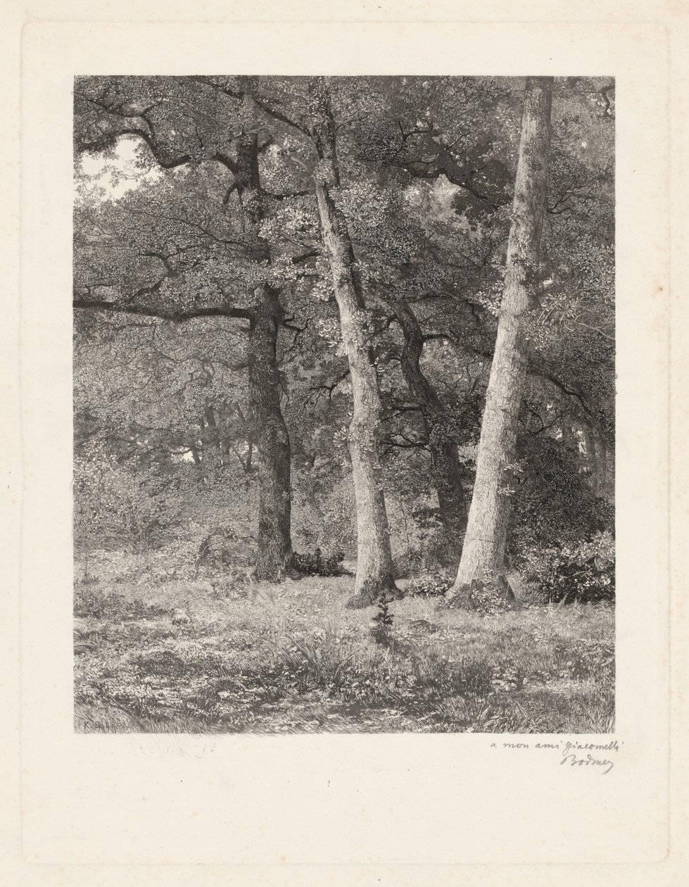 Lesní mýtina od Karl Bodmer