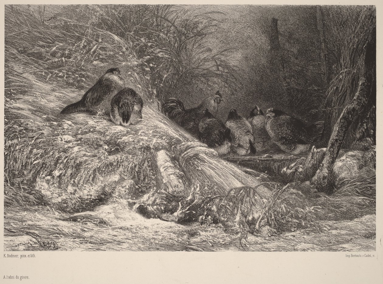V bezpečí před mrazem od Karl Bodmer
