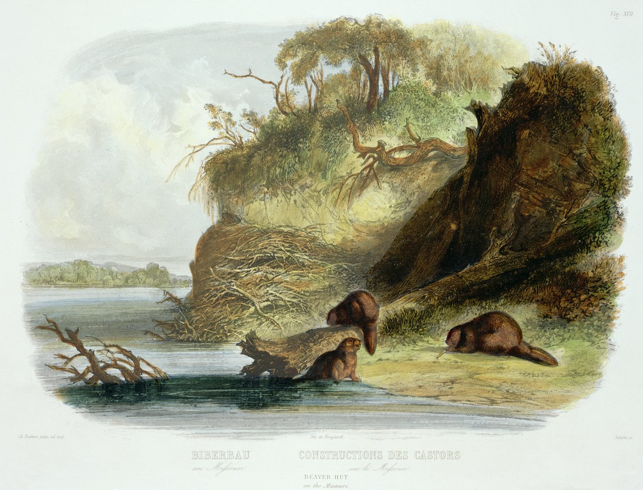 Beaver Hut na Missouri, deska 17 ze svazku 1 „Cesty ve vnitrozemí Severní Ameriky“, vyryl Friedrich Salathe (1793-1858) 1843 (akvatinta) od Karl Bodmer