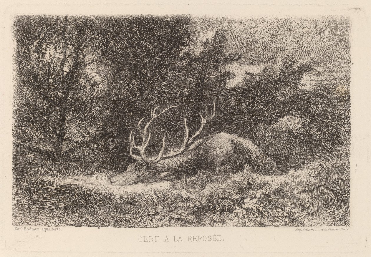Jelen a la Reposee od Karl Bodmer