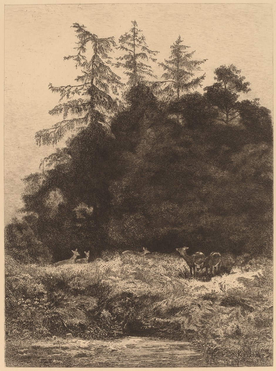 Daněk v parku od Karl Bodmer