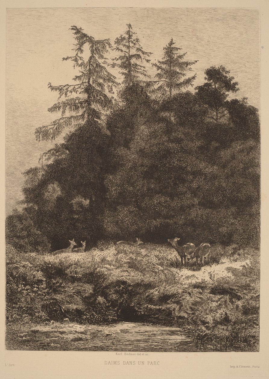 Daňci v parku od Karl Bodmer