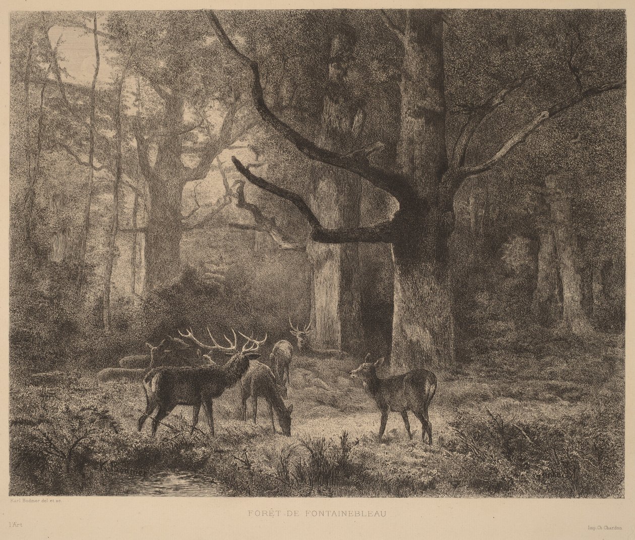 Les Fontainebleau od Karl Bodmer