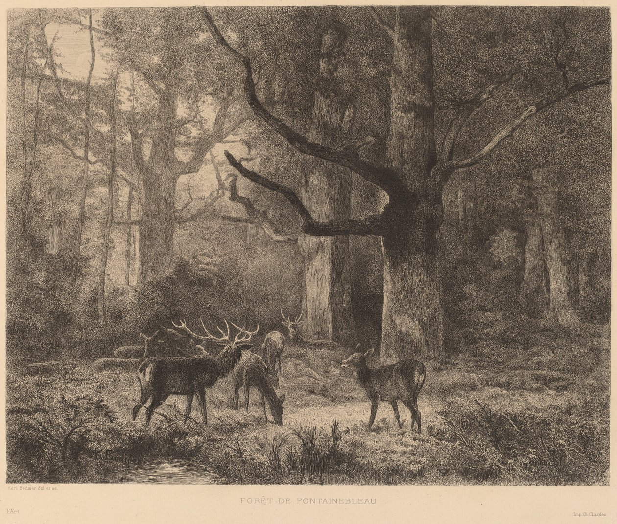 Les Fontainebleau od Karl Bodmer