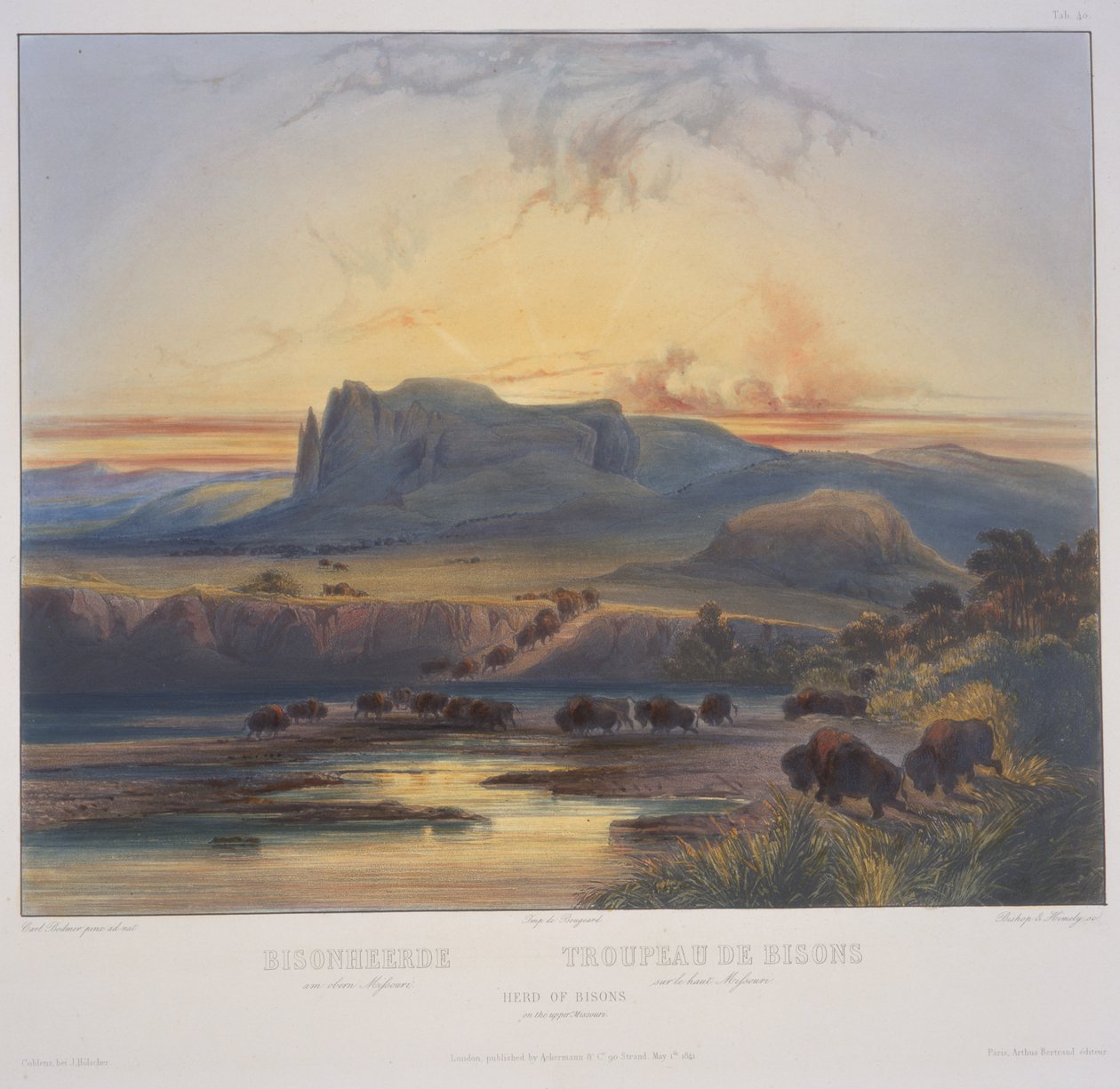 Stádo bizonů na horním toku Missouri od Karl Bodmer