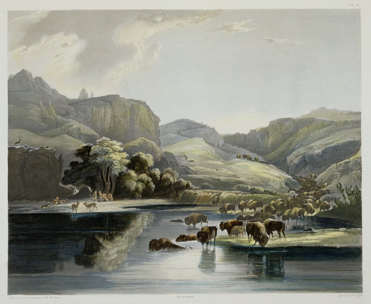 Stáda bizonů a losů na Upper Missouri, deska 47 ze svazku 2 „Cesty ve vnitrozemí Severní Ameriky“, vyryl Carl Vogel (1816-51) 1844 (akvatinta) od Karl Bodmer