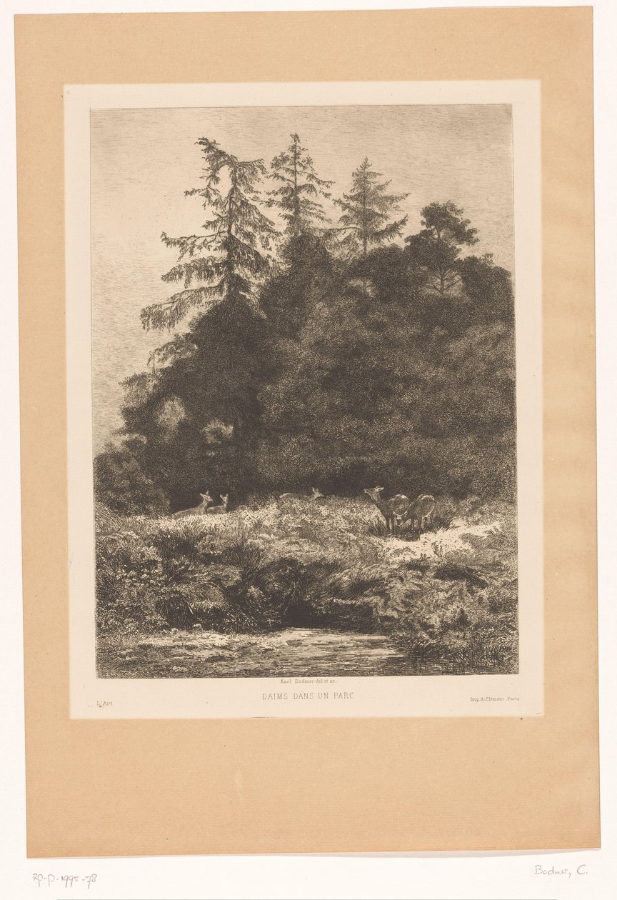 Jelen na okraji lesa Daims dans un parc (název na objektu) od Karl Bodmer