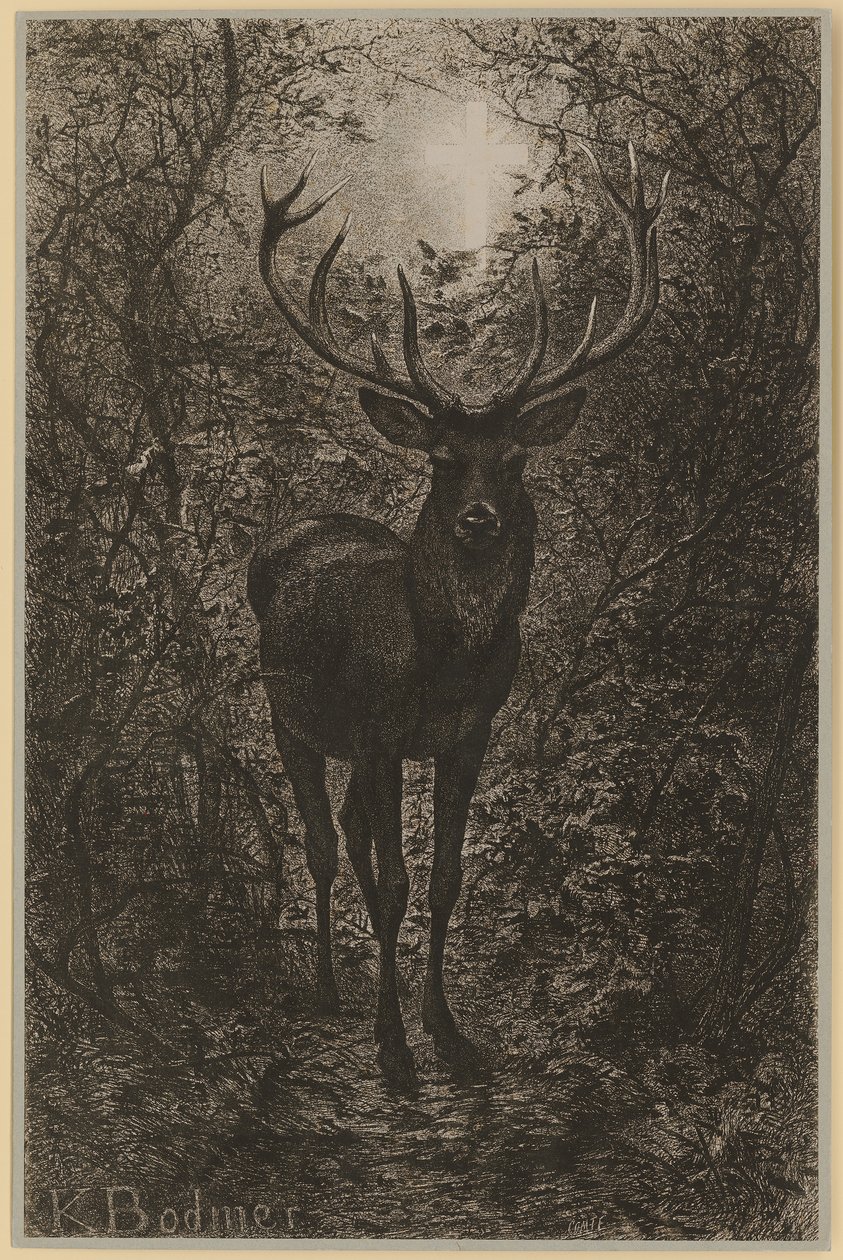 Hubertův jelen od Karl Bodmer