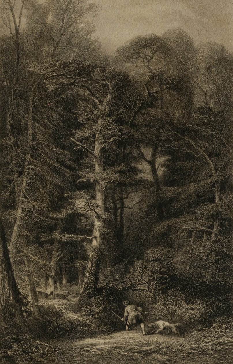 Interiér lesa od Karl Bodmer