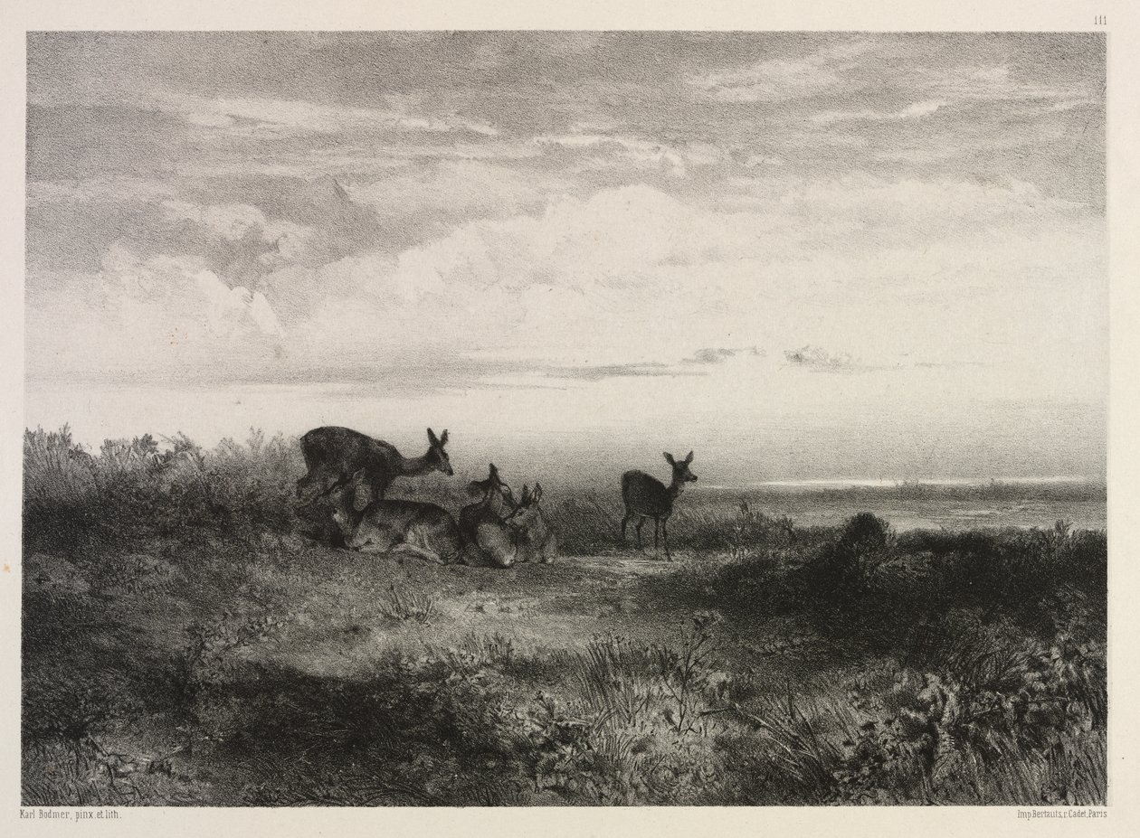 Krajina s jeleny od Karl Bodmer