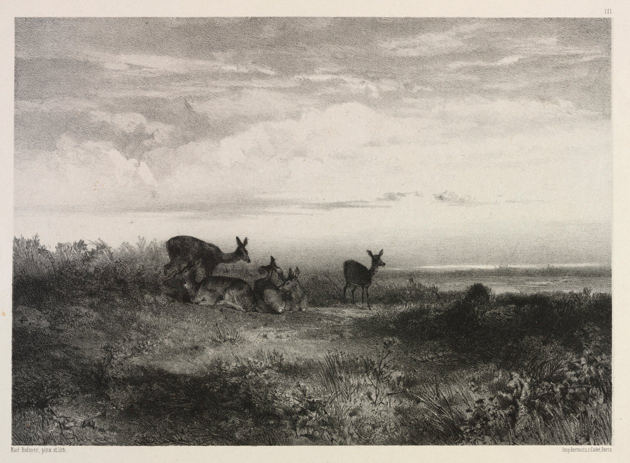 Krajina s jeleny, c. 1840. od Karl Bodmer