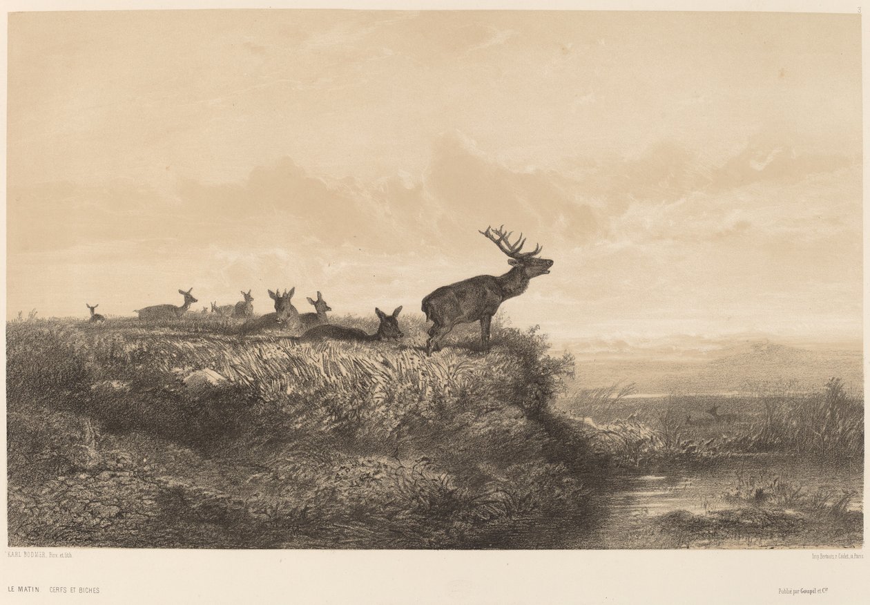 Ráno. od Karl Bodmer