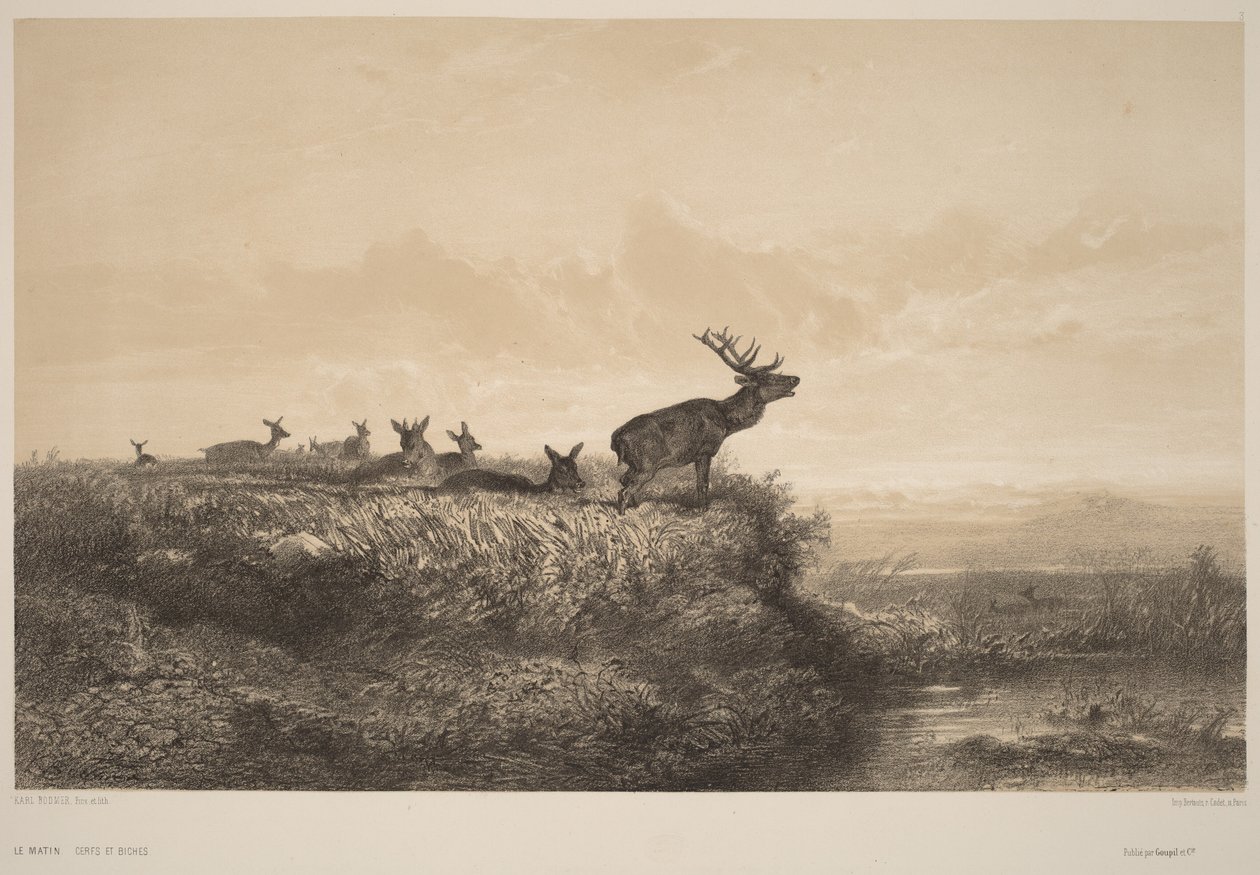 Ráno od Karl Bodmer