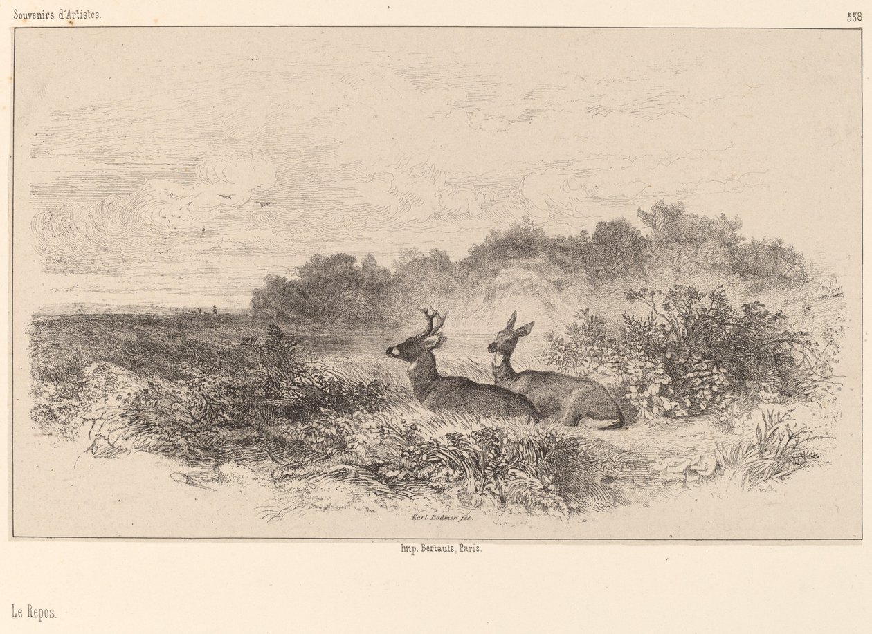 Odpočinek od Karl Bodmer