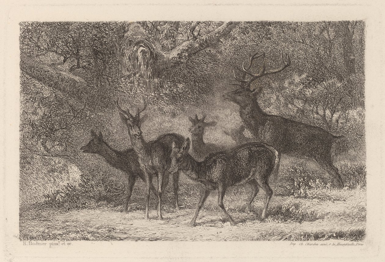 stádo od Karl Bodmer