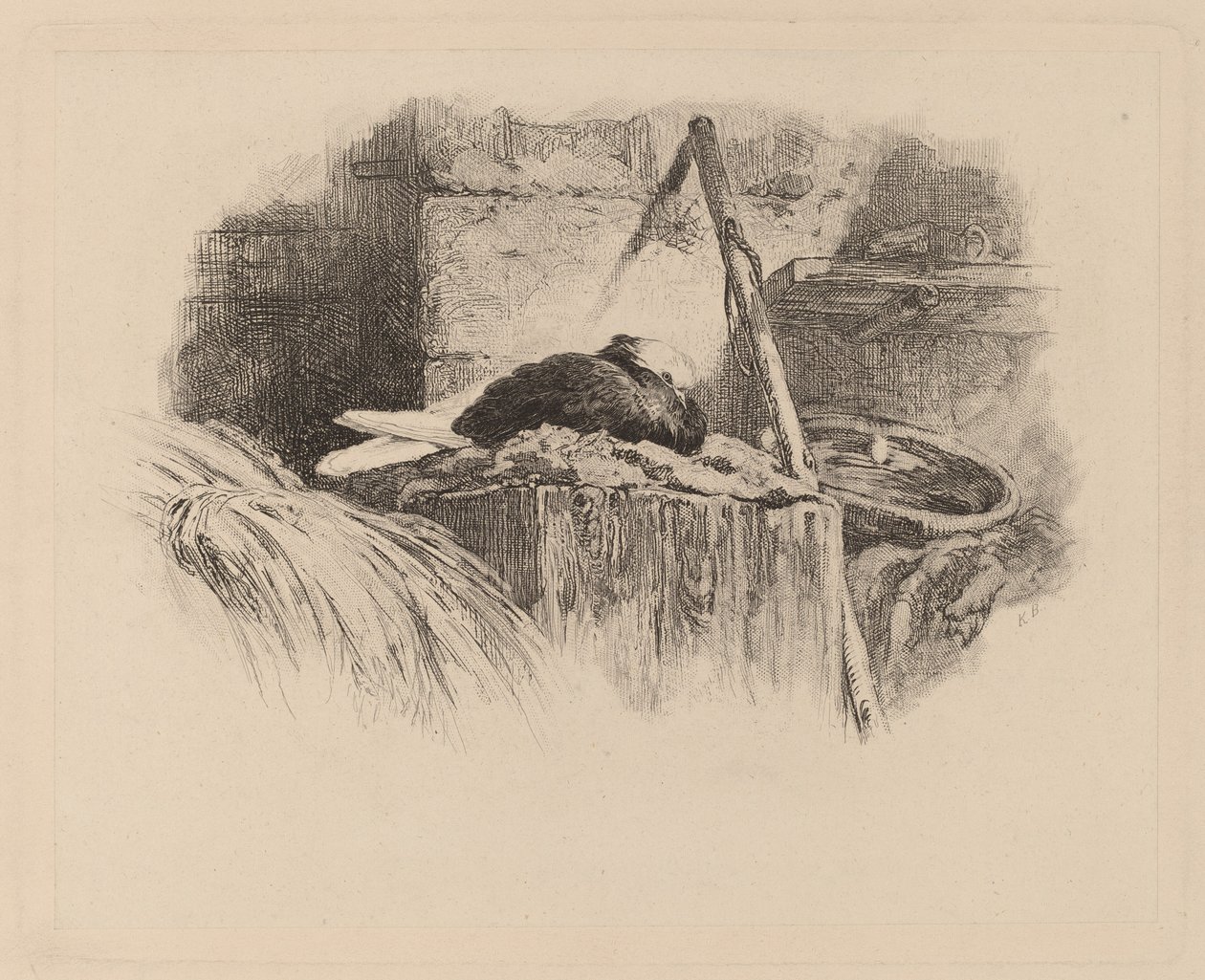 holub na hnízdě od Karl Bodmer